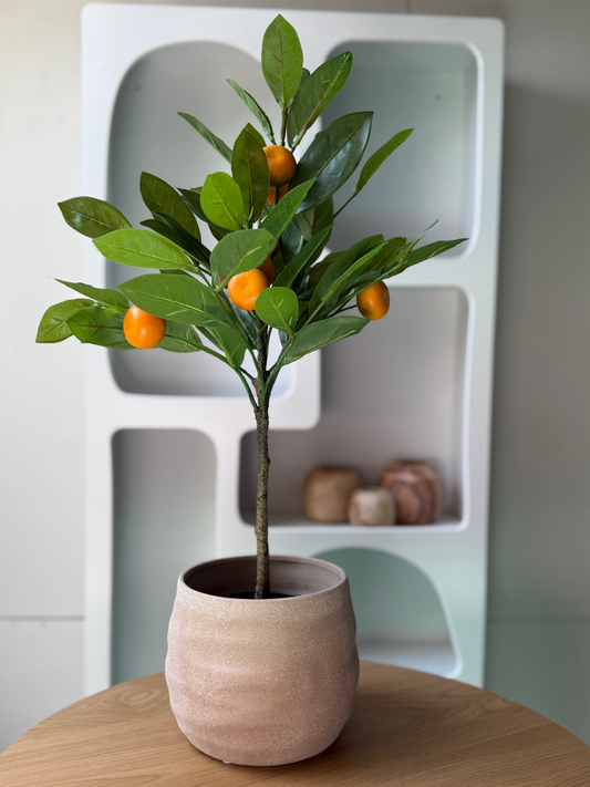 Kunst sinaasappelboompje + Japandi bloempot 🍊